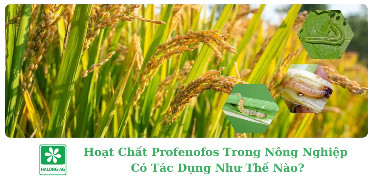 HOẠT CHẤT PROFENOFOS TRONG NÔNG NGHIỆP CÓ TÁC DỤNG GÌ?