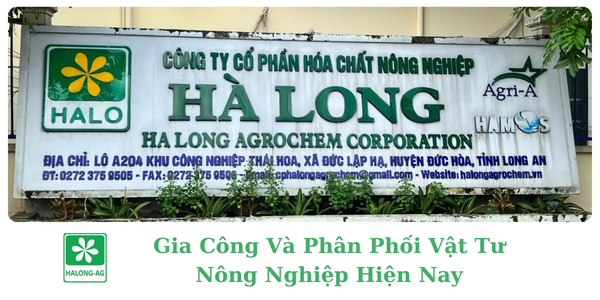 Gia Công Và Phân Phối Vật Tư Nông Nghiệp Hiện Nay