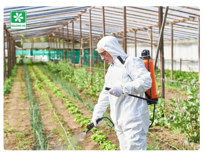 an toàn khi sử dụng hoạt chất mancozeb