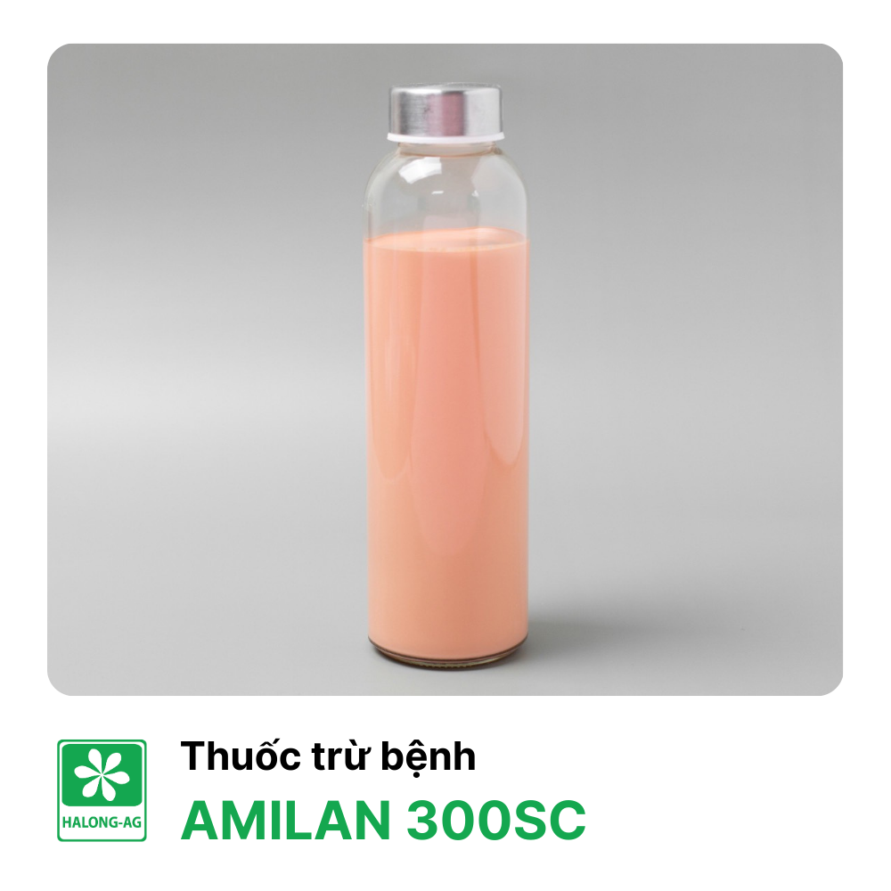 AMILAN 300SC