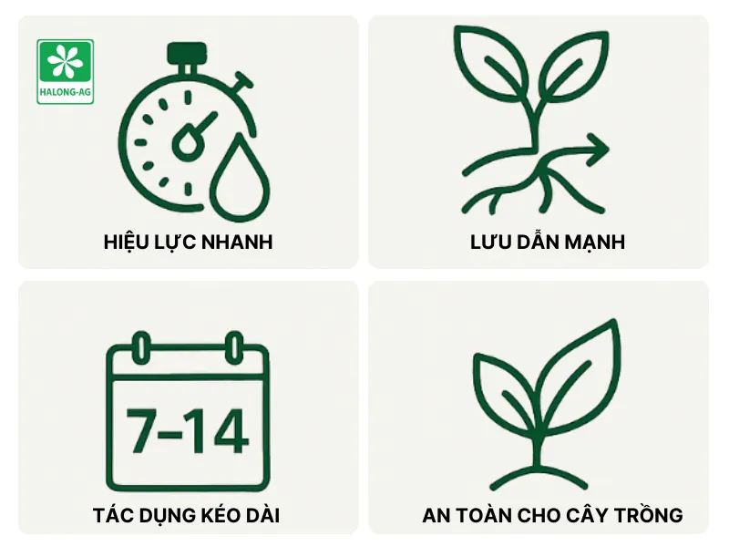 ưu điểm của hoạt chất hexaconazole​