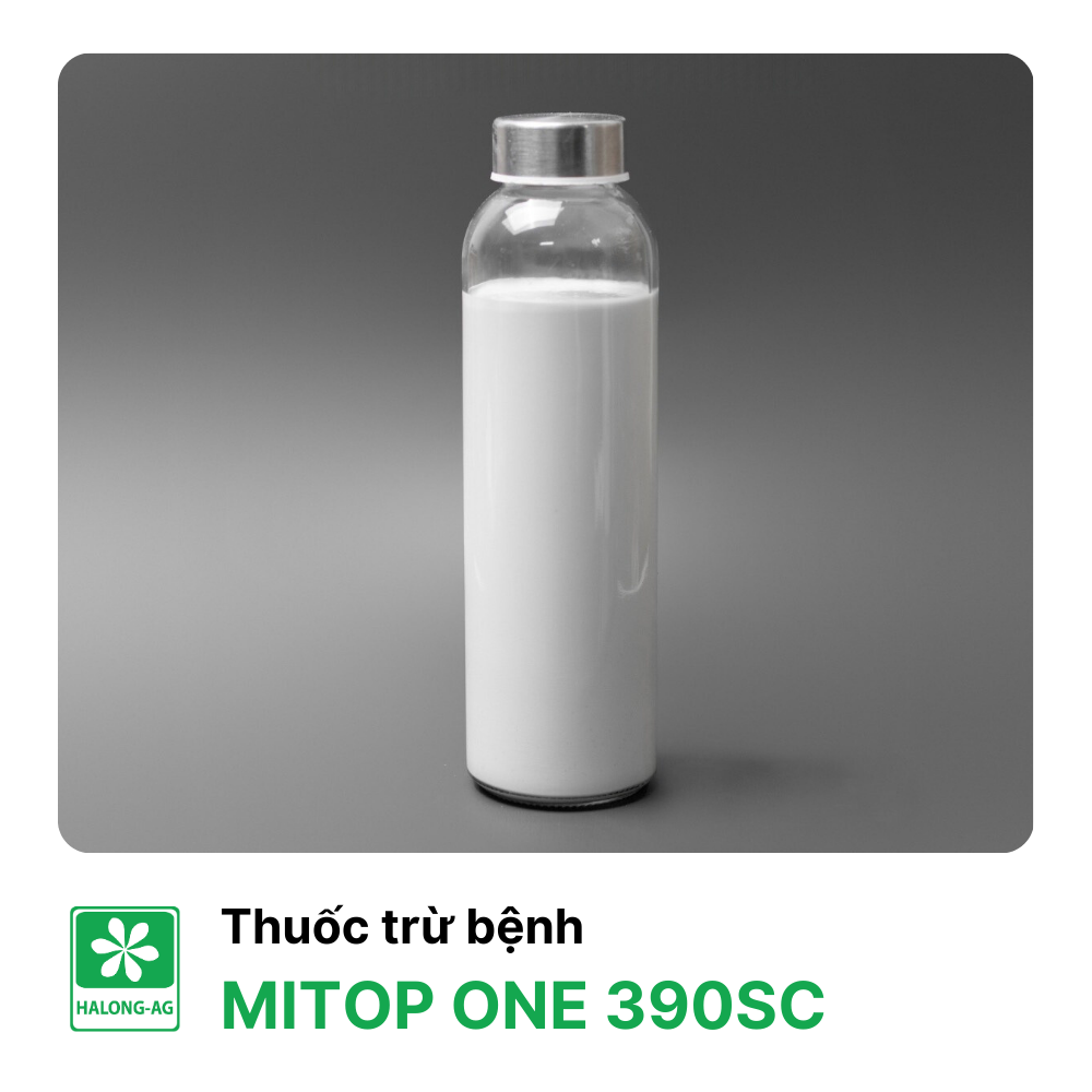 MITOP ONE 390SC