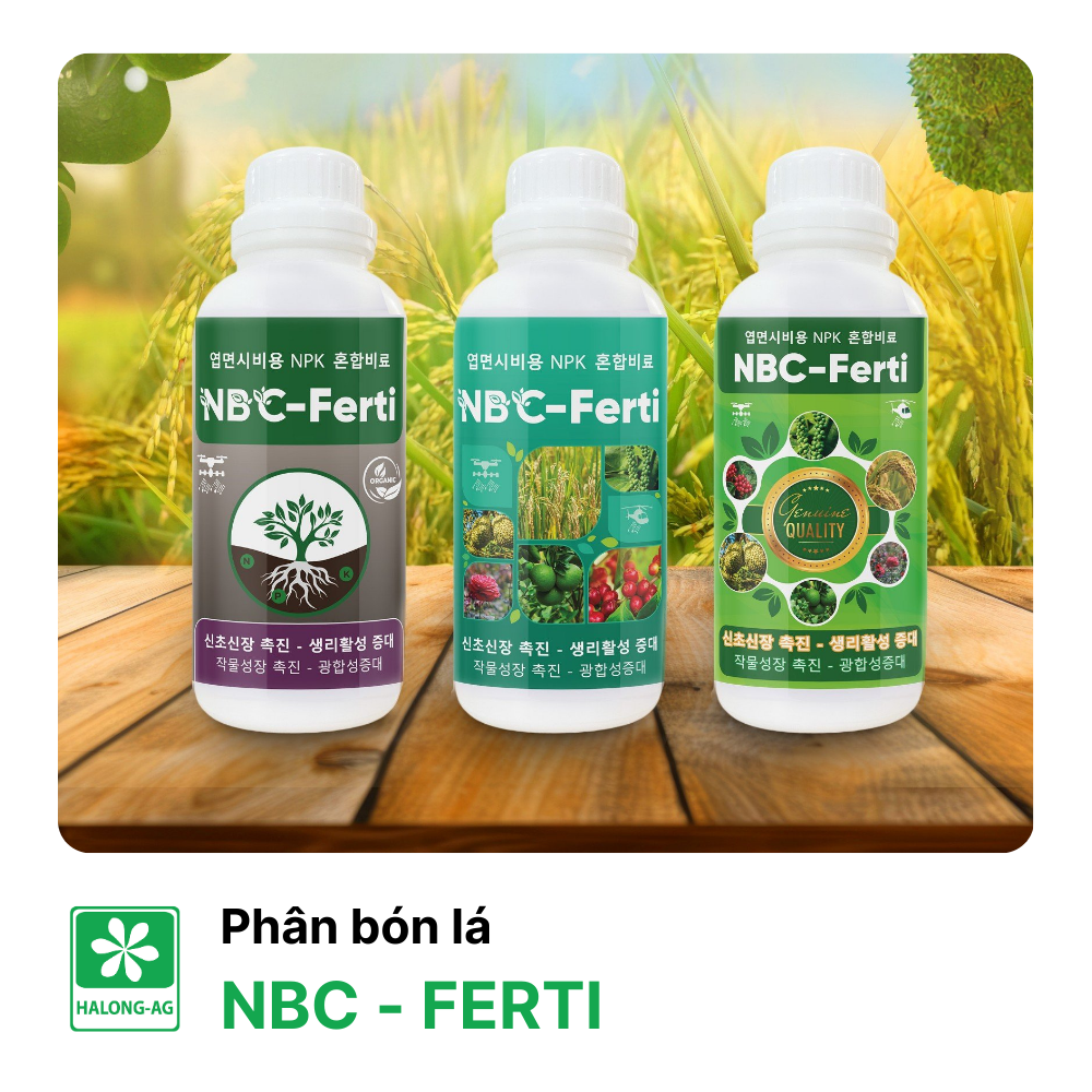 NBC – FERTI