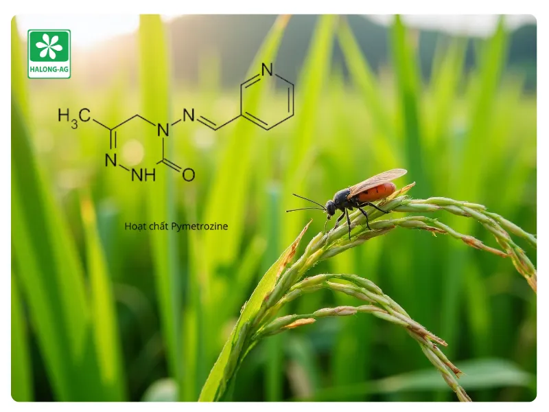 Hoạt Chất Pymetrozine