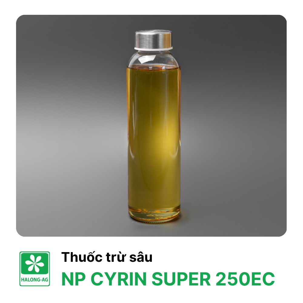 CYRIN SUPER 250EC