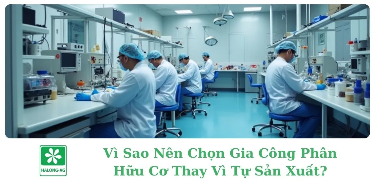 Vì Sao Nên Chọn Gia Công Phân Hữu Cơ Thay Vì Tự Sản Xuất?