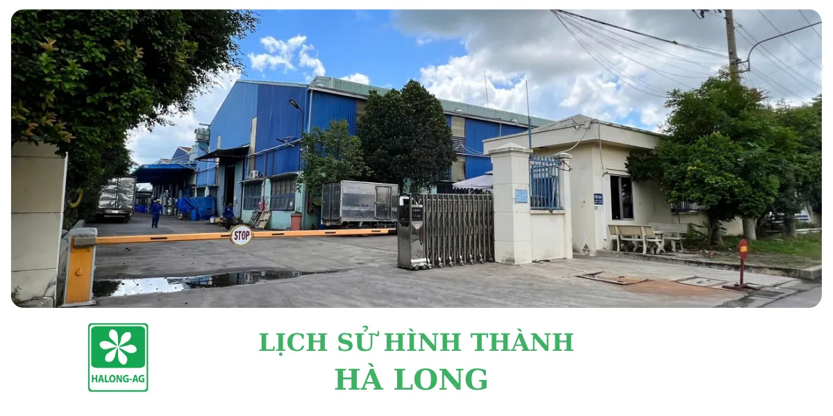 Lịch Sử Thành Lập Hà Long Agrochem