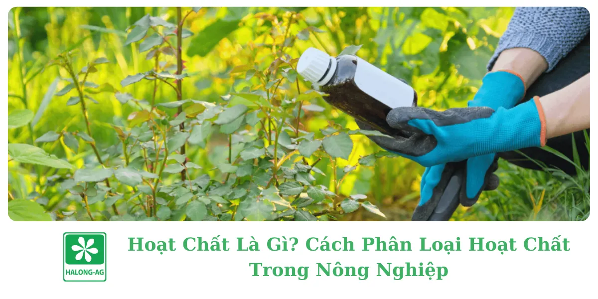 Hoạt Chất Là Gì? Cách Phân Biệt Hoạt Chất Trong Nông Nghiệp 